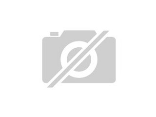 Fahrer für Chauffeur und Fahrdienst